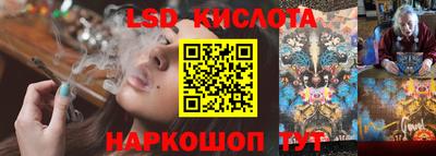 PSILOCYBIN Кунгур