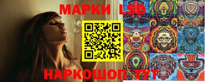 PSILOCYBIN Кунгур