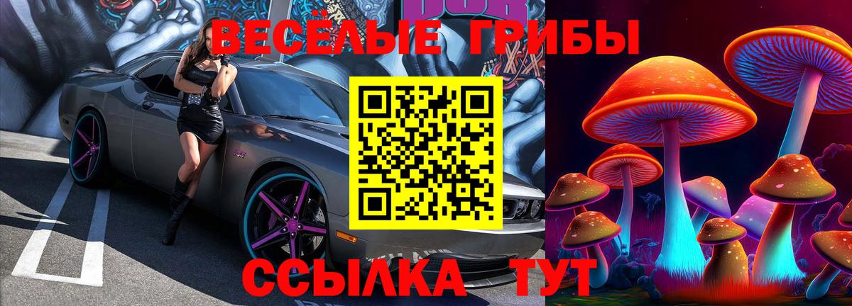 Псилоцибиновые грибы Magic Shrooms  Вход с VPN  Ирбит 